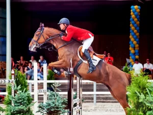 Fei Jumping Championship