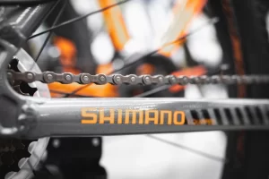 Shimano semestrale 2025