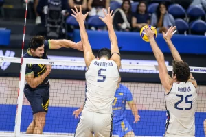 Dove vedere Italia Polonia